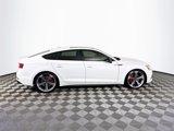 Used 2019 Audi S5 Prestige w/ S Sport Package image 5