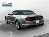 Used 2020 Ford Mustang Premium w/ Equipment Group 201A image 3