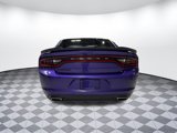 Used 2019 Dodge Charger SXT w/ Blacktop Package image 4