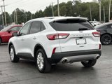 Used 2020 Ford Escape SE image 2
