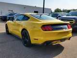 Used 2015 Ford Mustang Premium w/ Ecoboost Performance Package image 4