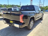 New 2025 Toyota Tundra 1794 Edition image 5