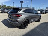 Used 2023 Ford Escape ST-Line Elite image 3