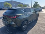 Used 2022 Lexus NX 250 AWD image 6