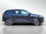 Certified 2022 Ford Escape SE w/ SE Sport Appearance Package image 3