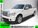 Used 2013 Ford F150 Platinum image 3