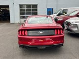 Used 2020 Ford Mustang Coupe w/ Equipment Group 101A image 3