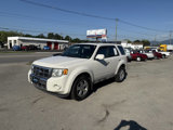 Used 2009 Ford Escape Limited image 2