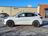 New 2025 Ford Escape ST-Line Elite w/ Premium Technology Package image 4