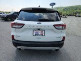 Used 2020 Ford Escape SEL image 4