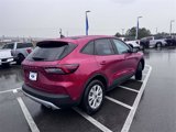 New 2025 Ford Escape Active w/ Tech Pack #1 image 3