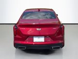 Used 2021 Cadillac CT4 Premium Luxury image 6