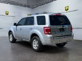 Used 2011 Ford Escape Limited w/ 302A Rapid Spec Order Code image 3