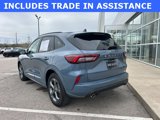 Used 2024 Ford Escape ST-Line w/ Tech Pack #1 image 3