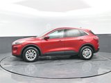 Used 2020 Ford Escape SE image 4