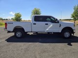 Used 2019 Ford F250 XL w/ Power Equipment Group image 4