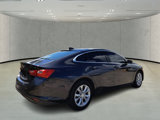 Used 2023 Chevrolet Malibu LT image 5