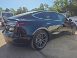 Used 2019 Tesla Model 3 Standard Range Plus image 5