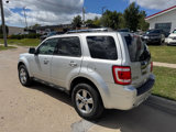 Used 2010 Ford Escape Limited image 3