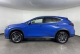 Used 2022 Lexus NX 350 AWD image 4