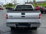 Used 2014 Ford F150 XLT w/ Equipment Group 301A Mid image 4