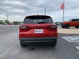 New 2025 Ford Escape ST-Line w/ Equipment Group 301A image 6