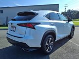 Used 2019 Lexus NX 300 FWD w/ Premium Package image 4