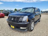 Used 2007 Cadillac Escalade AWD w/ Information Package image 3