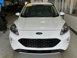 Used 2020 Ford Escape SEL image 2