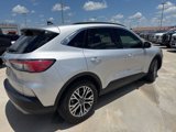 Used 2020 Ford Escape SEL image 3