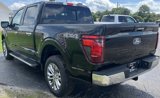 New 2024 Ford F150 XLT w/ Equipment Group 302A MID image 6