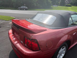 Used 2000 Ford Mustang Convertible image 5