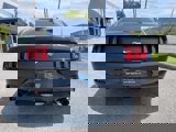 Used 2016 Ford Mustang Coupe w/ Ecoboost Performance Package image 6