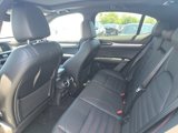 New 2025 Alfa Romeo Stelvio Tributo Italiano w/ Active Assist Plus Package image 3