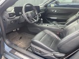 Used 2024 Ford Mustang Premium image 5