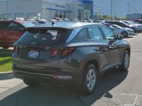 Used 2024 Hyundai Tucson SE image 3
