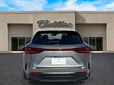 Used 2022 Lexus NX 350h AWD image 4