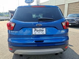 Certified 2019 Ford Escape SEL image 5