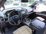 Used 2016 Ford F150 XLT w/ Equipment Group 302A Luxury image 4