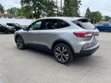 Used 2021 Ford Escape SE w/ SE Sport Appearance Package image 4