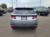 Used 2024 Hyundai Tucson Blue image 4