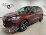 Used 2021 Ford Escape SE w/ SE Sport Appearance Package image 3
