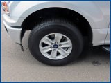Used 2019 Ford F150 XL w/ Equipment Group 101A Mid image 4