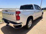 Used 2020 Chevrolet Silverado 1500 LT w/ All-Star Edition image 3