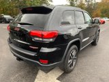 Used 2019 Jeep Grand Cherokee Trailhawk w/ Trailhawk Luxury Group image 4