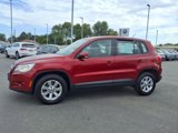 Used 2009 Volkswagen Tiguan SE image 5