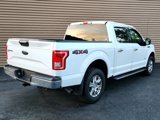 Used 2015 Ford F150 XLT w/ Equipment Group 301A Mid image 6