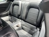 Used 2016 Ford Mustang GT Premium w/ Equipment Group 401A image 5
