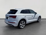 Used 2021 Audi Q5 Premium Plus w/ Premium Plus Package image 5