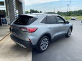 Used 2022 Ford Escape SEL image 3
